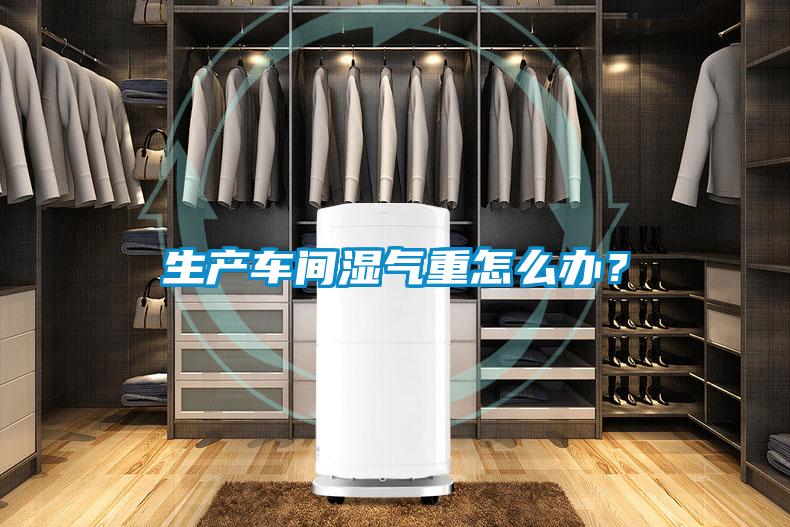 生產(chǎn)車間濕氣重怎么辦？