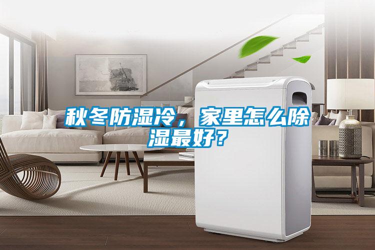 秋冬防濕冷，家里怎么除濕最好？