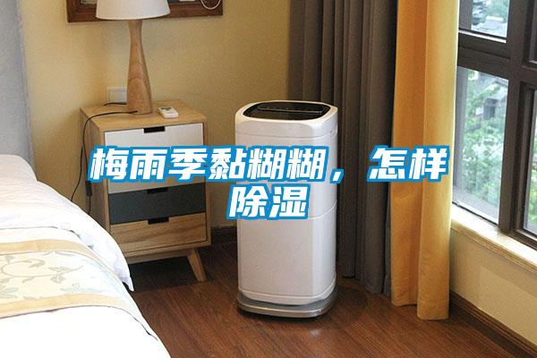 梅雨季黏糊糊，怎樣除濕