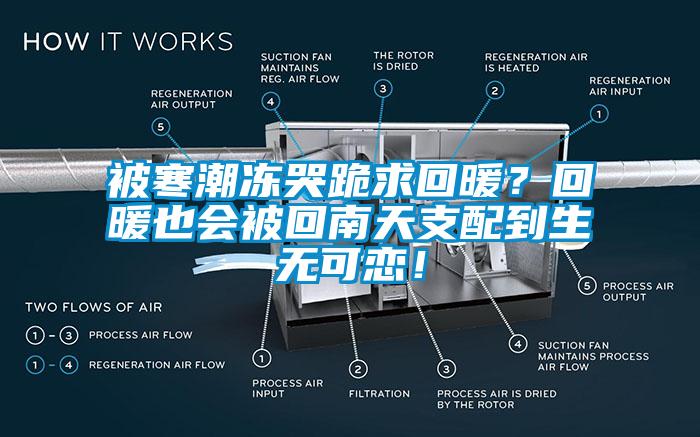 被寒潮凍哭跪求回暖？回暖也會(huì)被回南天支配到生無可戀！