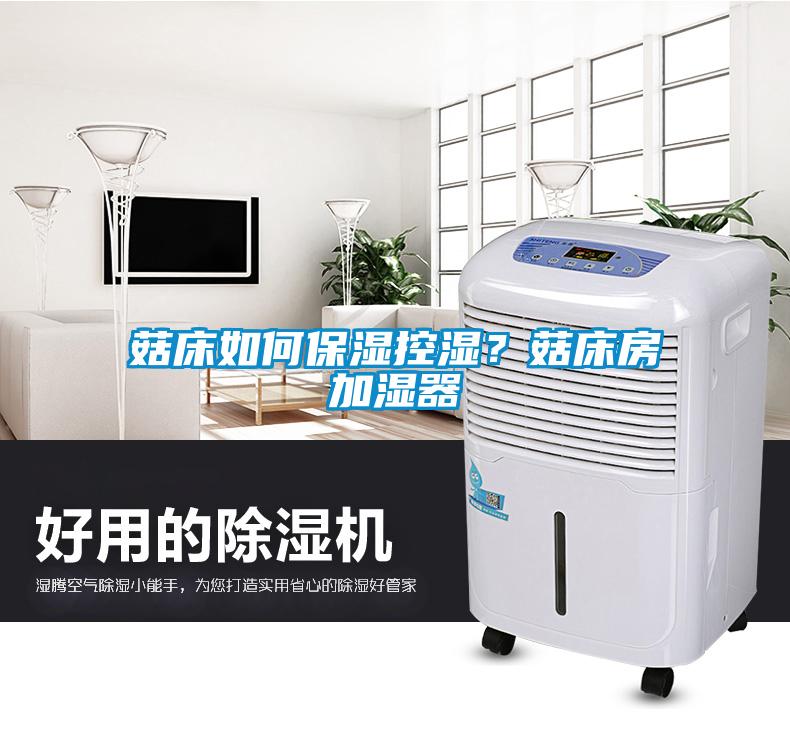 菇床如何保濕控濕？菇床房加濕器