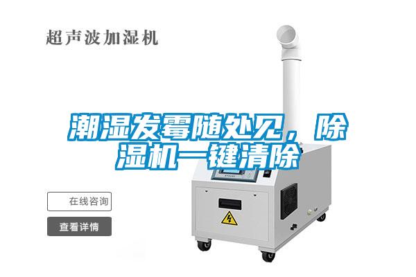 潮濕發(fā)霉隨處見，除濕機(jī)一鍵清除