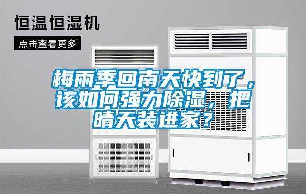 梅雨季回南天快到了，該如何強力除濕，把晴天裝進(jìn)家？