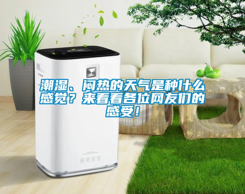 潮濕、悶熱的天氣是種什么感覺(jué)？來(lái)看看各位網(wǎng)友們的感受！