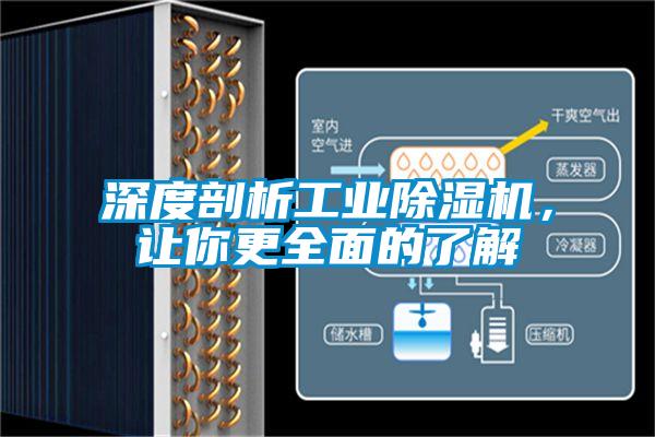 深度剖析工業(yè)除濕機(jī)，讓你更全面的了解