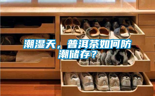 潮濕天，普洱茶如何防潮儲存？