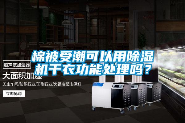 棉被受潮可以用除濕機干衣功能處理嗎？