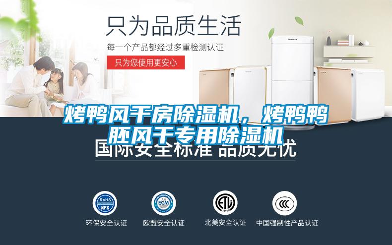 烤鴨風干房除濕機，烤鴨鴨胚風干專用除濕機