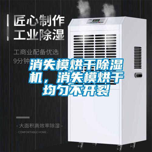 消失模烘干除濕機，消失模烘干均勻不開裂
