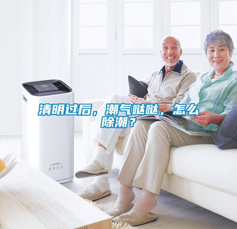 清明過(guò)后，潮氣噠噠，怎么除潮？