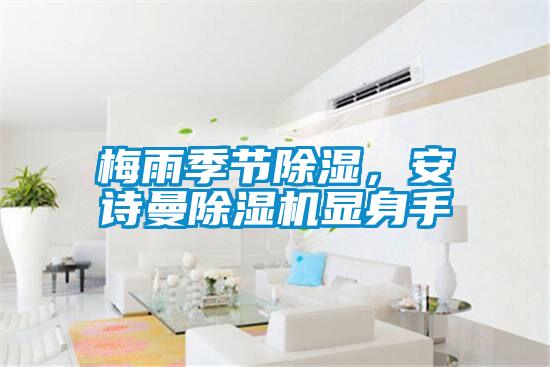 梅雨季節(jié)除濕，安詩(shī)曼除濕機(jī)顯身手