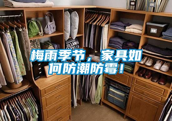 梅雨季節(jié)，家具如何防潮防霉！