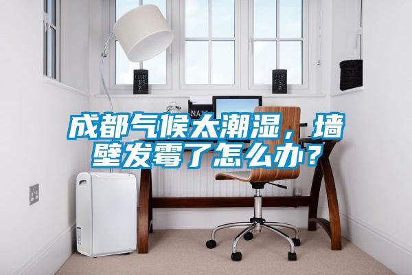 成都?xì)夂蛱睗?，墻壁發(fā)霉了怎么辦？
