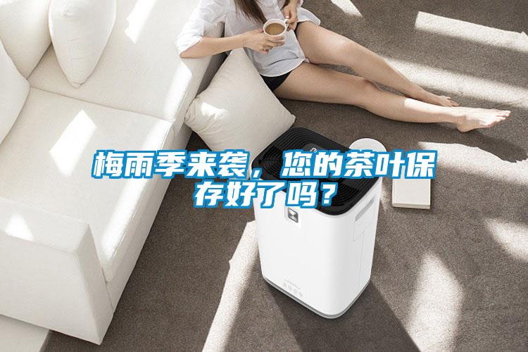 梅雨季來襲，您的茶葉保存好了嗎？