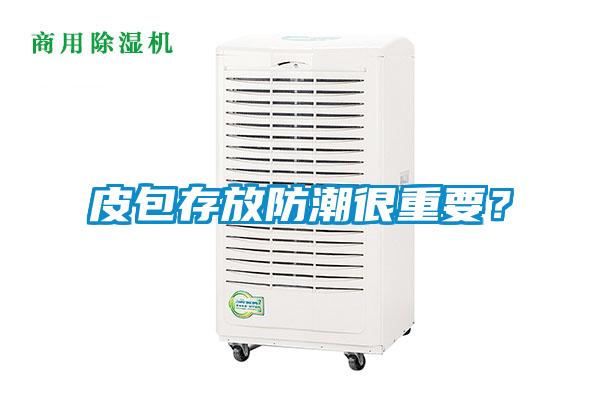 皮包存放防潮很重要？
