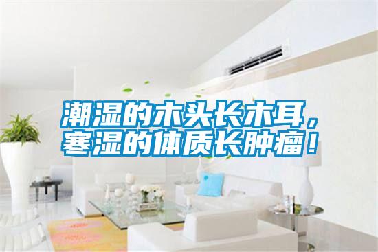 潮濕的木頭長(zhǎng)木耳，寒濕的體質(zhì)長(zhǎng)腫瘤！