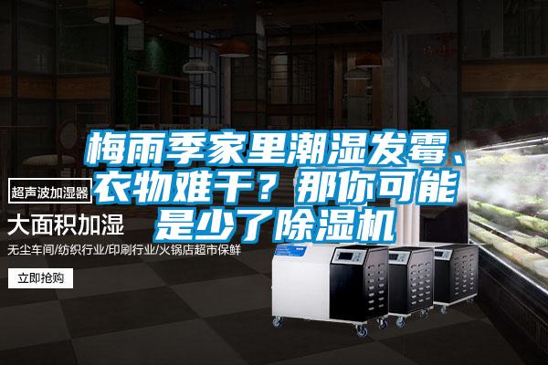 梅雨季家里潮濕發(fā)霉、衣物難干？那你可能是少了除濕機(jī)