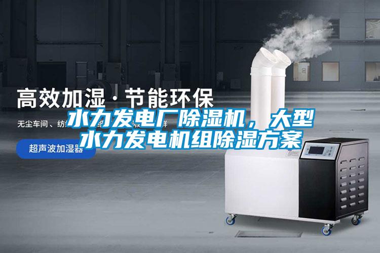 水力發(fā)電廠除濕機(jī)，大型水力發(fā)電機(jī)組除濕方案
