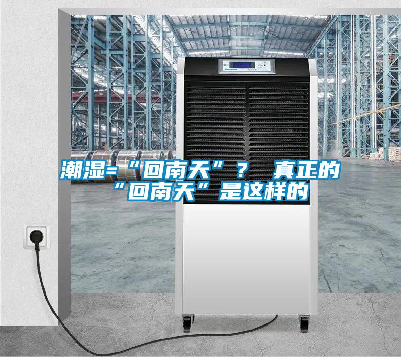 潮濕=“回南天”？ 真正的“回南天”是這樣的