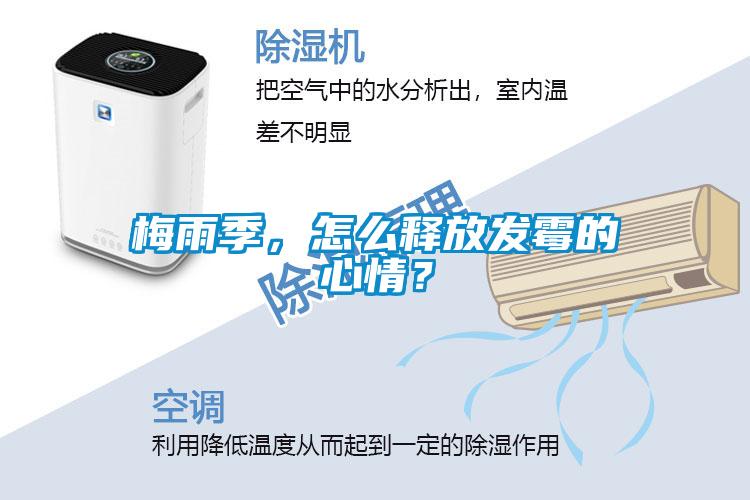 梅雨季，怎么釋放發(fā)霉的心情？