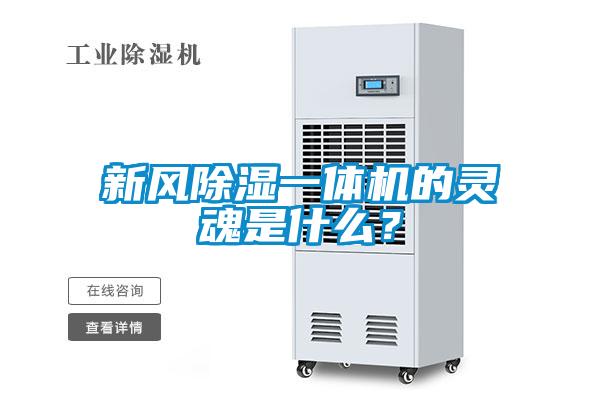 新風(fēng)除濕一體機(jī)的靈魂是什么？