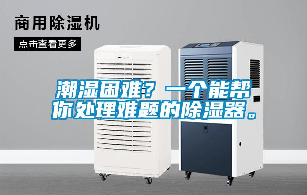 潮濕困難？一個(gè)能幫你處理難題的除濕器。