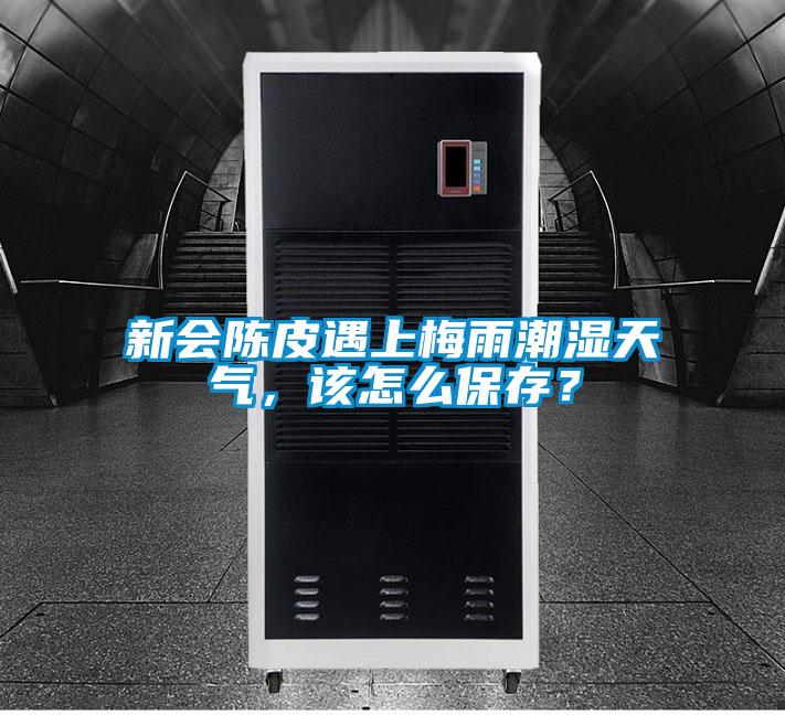 新會(huì)陳皮遇上梅雨潮濕天氣，該怎么保存？