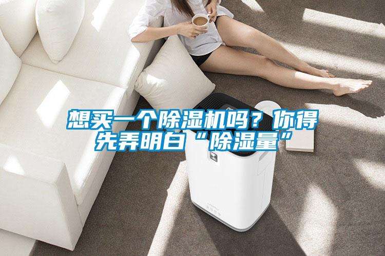 想買一個除濕機(jī)嗎？你得先弄明白“除濕量”