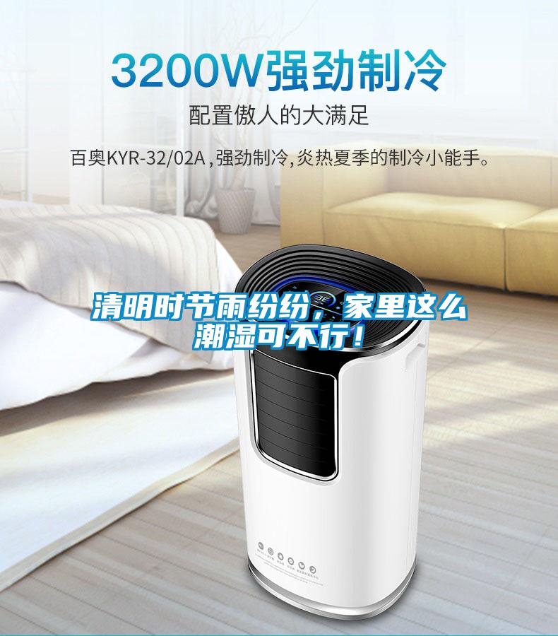 清明時節(jié)雨紛紛，家里這么潮濕可不行！