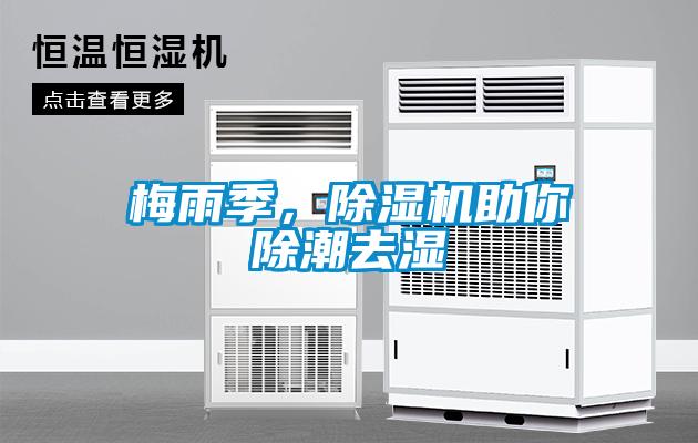 梅雨季，除濕機助你除潮去濕