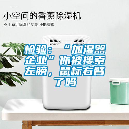 檢驗(yàn)：“加濕器企業(yè)”你被搜索左膀，鼠標(biāo)右臂了嗎
