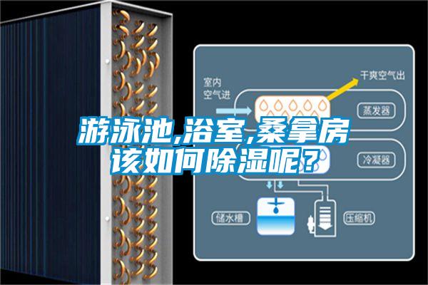 游泳池,浴室,桑拿房該如何除濕呢？