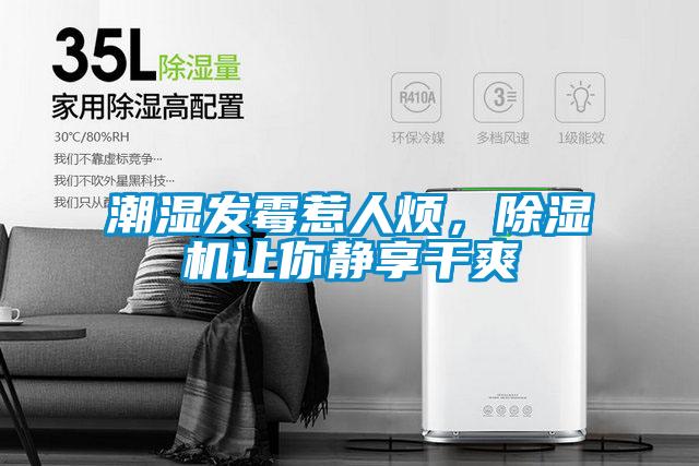 潮濕發(fā)霉惹人煩，除濕機讓你靜享干爽