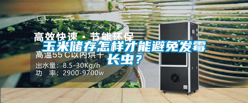 玉米儲(chǔ)存怎樣才能避免發(fā)霉長(zhǎng)蟲？
