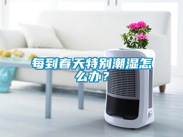 每到春天特別潮濕怎么辦？