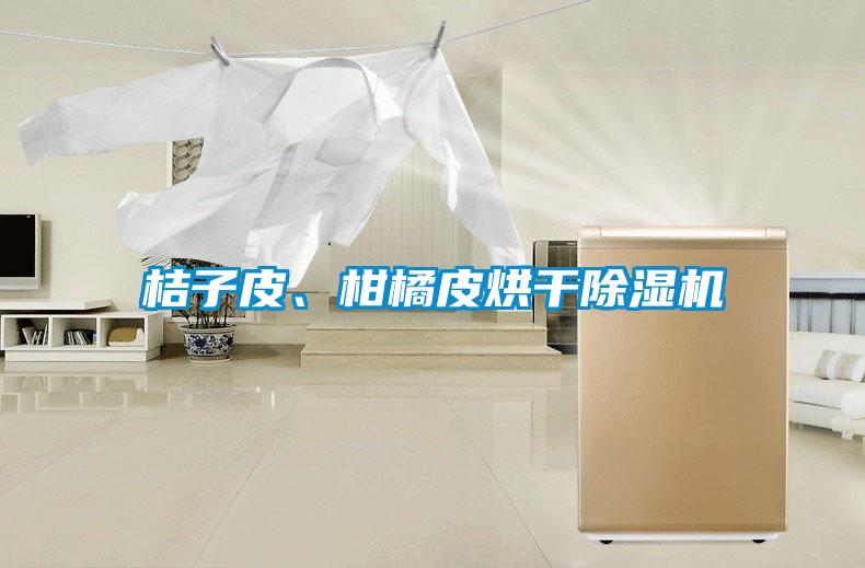 桔子皮、柑橘皮烘干除濕機(jī)