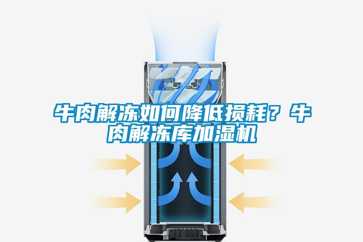 牛肉解凍如何降低損耗？牛肉解凍庫加濕機(jī)