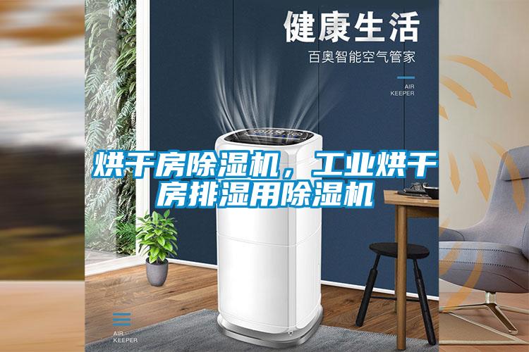 烘干房除濕機，工業(yè)烘干房排濕用除濕機