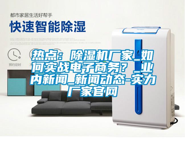 熱點：除濕機廠家_如何實戰(zhàn)電子商務？_業(yè)內(nèi)新聞_新聞動態(tài)-實力廠家官網(wǎng)