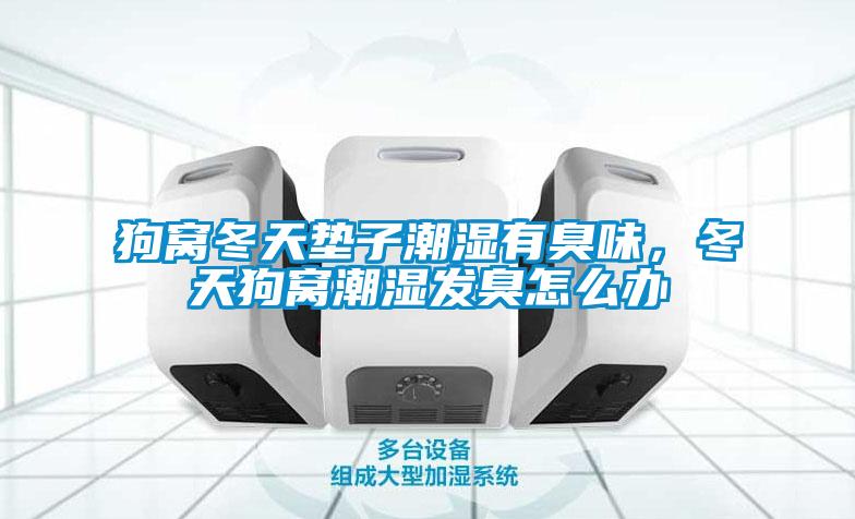狗窩冬天墊子潮濕有臭味，冬天狗窩潮濕發(fā)臭怎么辦