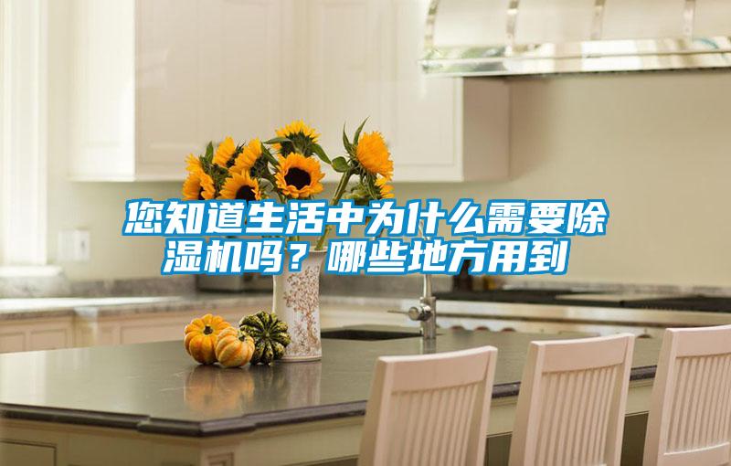 您知道生活中為什么需要除濕機嗎？哪些地方用到