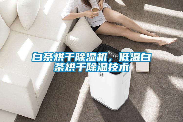 白茶烘干除濕機，低溫白茶烘干除濕技術(shù)