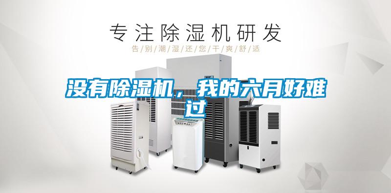 沒有除濕機(jī)，我的六月好難過(guò)