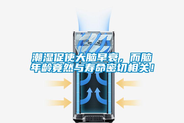 潮濕促使大腦早衰，而腦年齡竟然與壽命密切相關！
