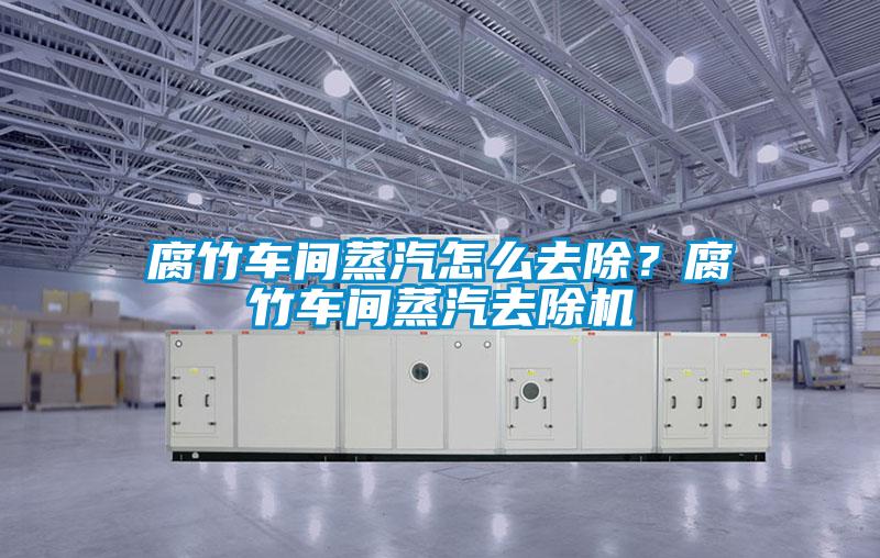 腐竹車間蒸汽怎么去除？腐竹車間蒸汽去除機