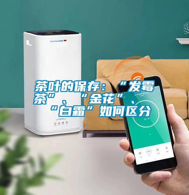 茶葉的保存：“發(fā)霉茶”、“金花”、“白霜”如何區(qū)分
