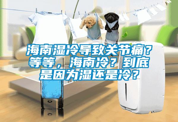 海南濕冷導(dǎo)致關(guān)節(jié)痛？等等，海南冷？到底是因為濕還是冷？