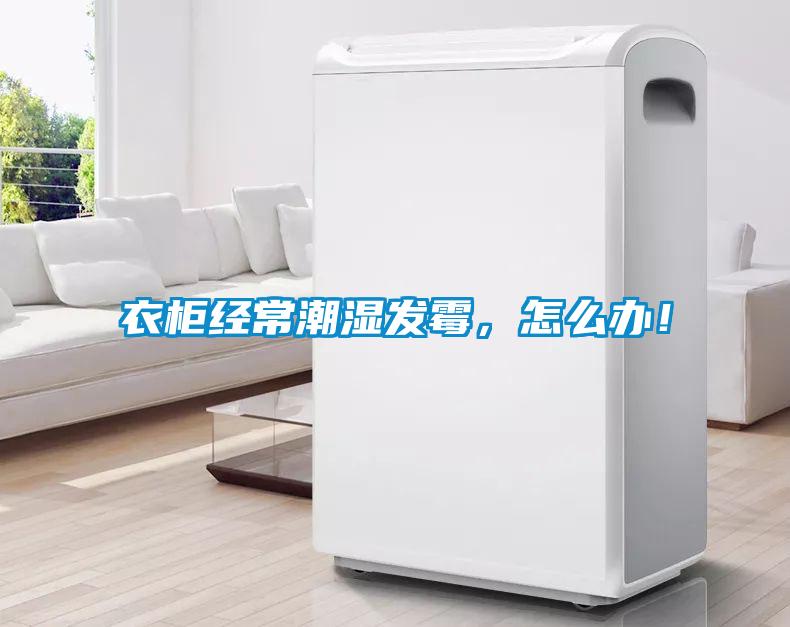 衣柜經常潮濕發(fā)霉，怎么辦！