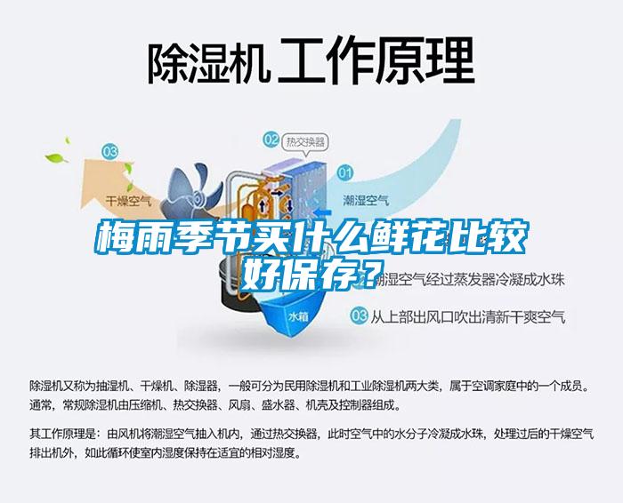 梅雨季節(jié)買(mǎi)什么鮮花比較好保存？