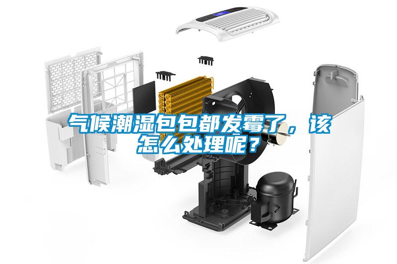 氣候潮濕包包都發(fā)霉了，該怎么處理呢？